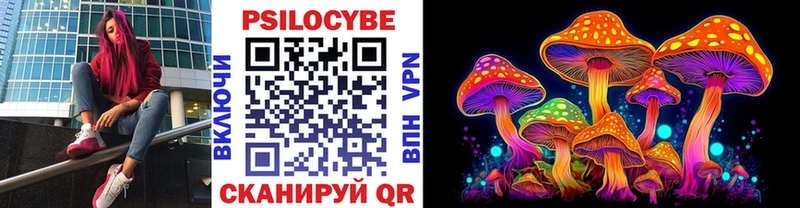 наркота  Руза  Псилоцибиновые грибы Cubensis 